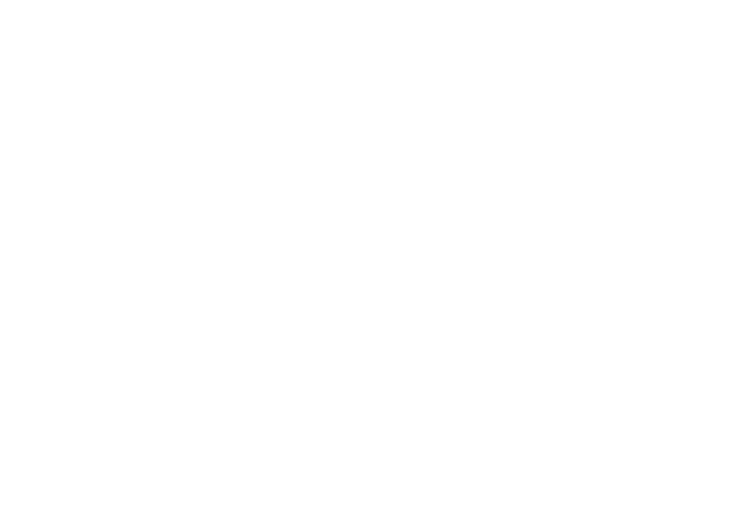  BIAC Logo White